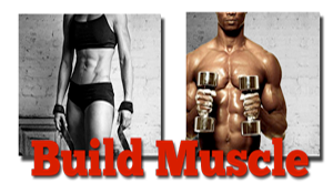 bodybuilding free muscle building reports